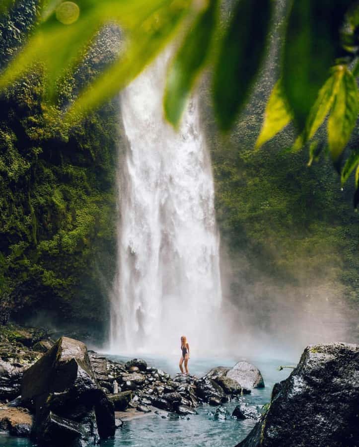 Bali: Discover Jungle Waterfalls and Rice Terraces - Your guide is a major part of the value