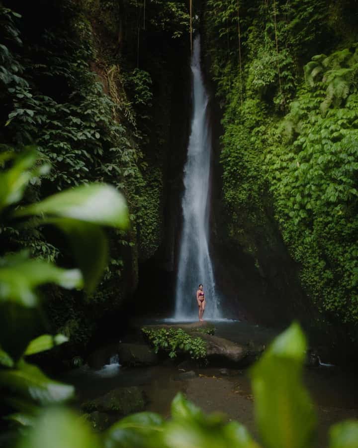 Bali: Discover Jungle Waterfalls and Rice Terraces - What the $35 price really covers