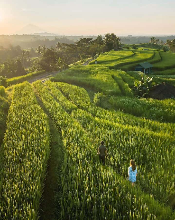 Bali: Discover Jungle Waterfalls and Rice Terraces - Goa Gong has a quieter mood