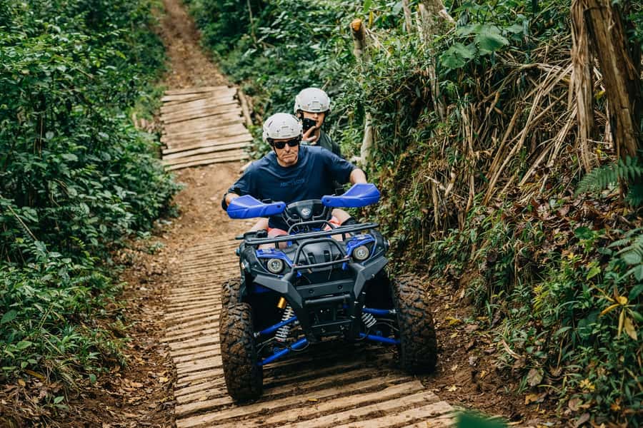 Bali: Dolphin Swimming Tour with ATV Quad Bike & Waterfall - Key points at a glance