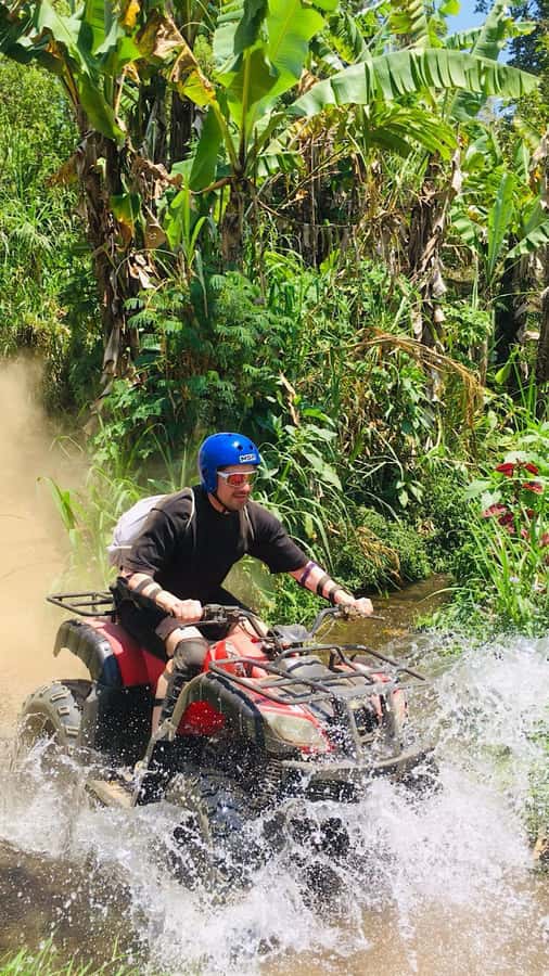 Bali: Dolphin Swimming Tour with ATV Quad Bike & Waterfall - Snorkeling Lovina, with realistic expectations