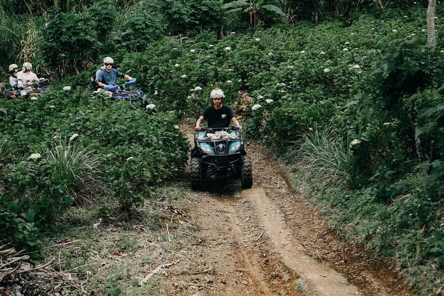 Bali: Dolphin Swimming Tour with ATV Quad Bike & Waterfall - Banyumala Twin Waterfall as the finale