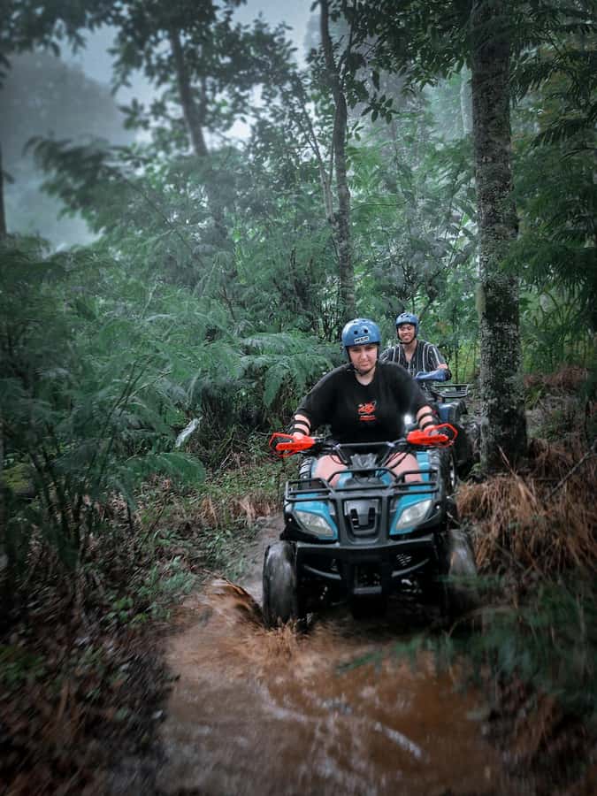 Bali: Dolphin Swimming Tour with ATV Quad Bike & Waterfall - Guides, drivers, and how the day feels