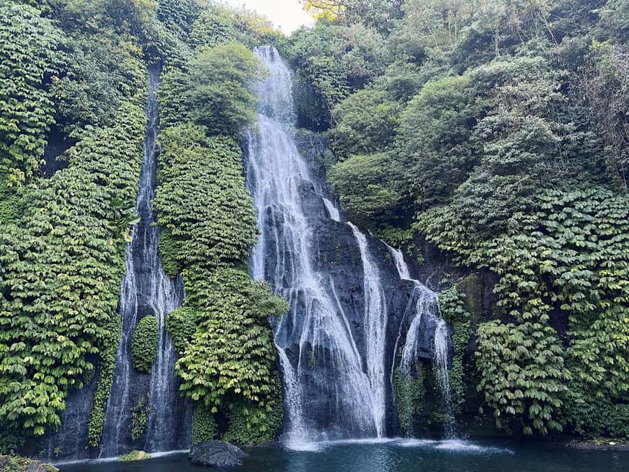 Bali: Dolphin Swimming Tour with ATV Quad Bike & Waterfall - What to bring and what to know before booking