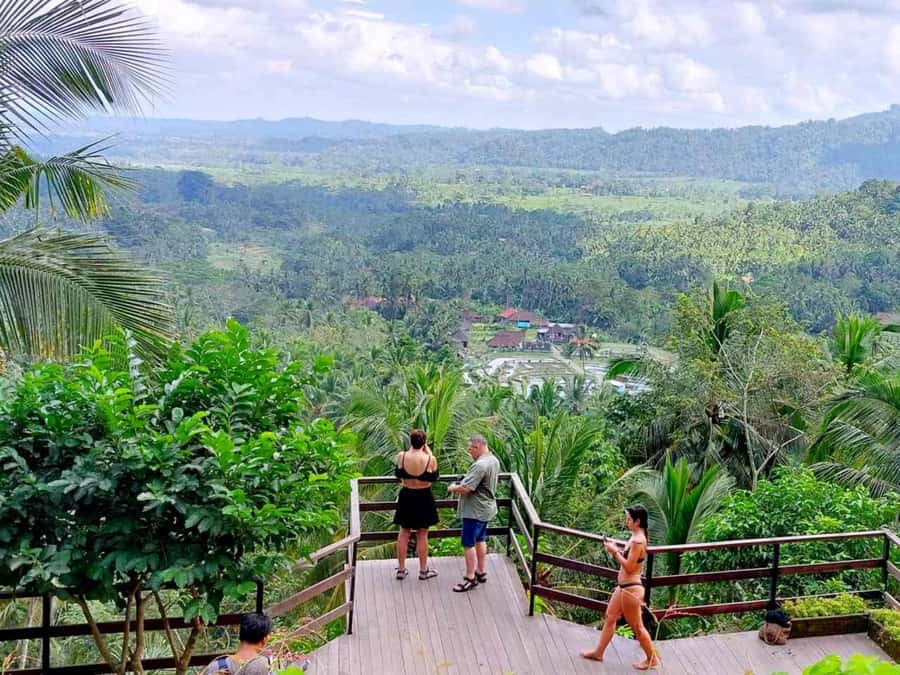 Bali: East Bali Hidden Gems. Exotic Beaches & Waterfalls. - Should you book it?