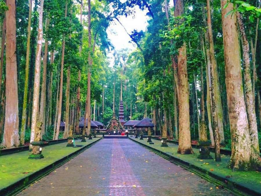 Bali: Full-Day Tour of Nungnung Waterfall, Tanah Lot Tample - Sangeh Monkey Forest feels calmer than Ubud