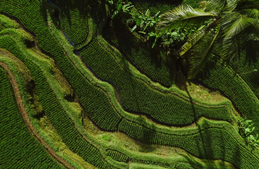Bali: Griya Taman Beji Waterfall with Optional Ubud Tours - Goa Gajah offers a short but meaningful history stop