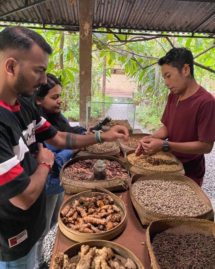 Bali: Kintamani Cafe, Waterfall, Temple and Cretya Ubud Tour - Who will enjoy this Bali day tour?
