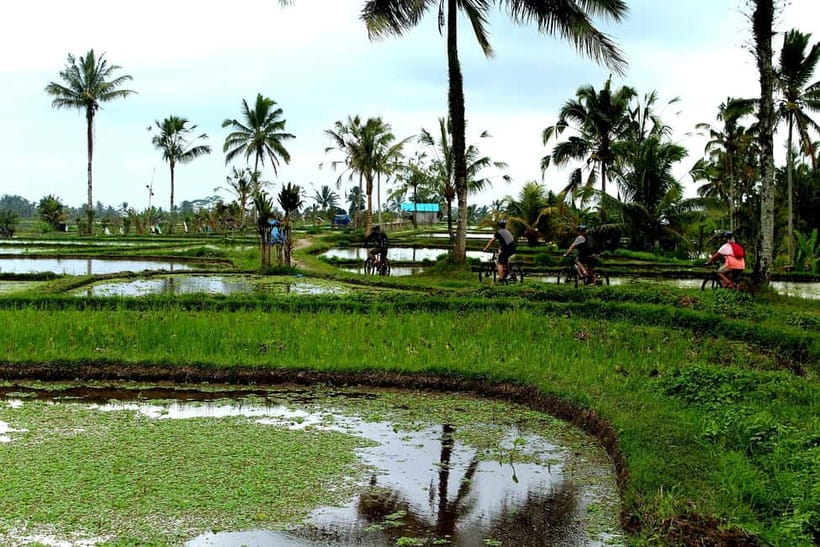 Bali: Kintamani Downhill Bike Tour, Jungle and Waterfalls - Inside a traditional Balinese family compound