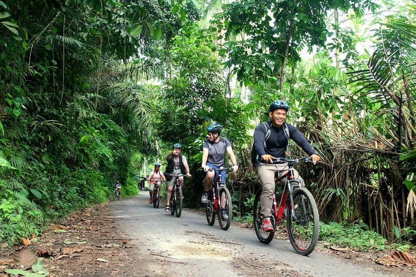 Bali: Kintamani Downhill Bike Tour, Jungle and Waterfalls - A downhill route through coffee country