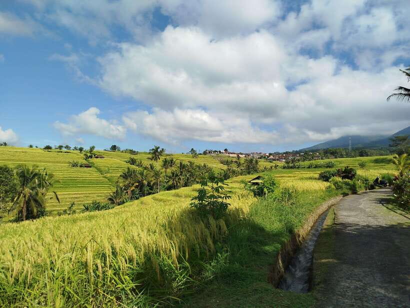 Bali: Lake Temple, Jatiluwih Rice Terrace & Waterfall Tour - Who will enjoy this tour most