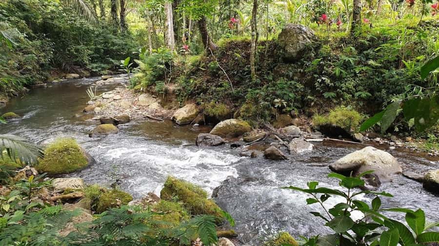 Bali: Leke Leke, Munduk, & Banyumala Waterfalls Private Tour - The private van changes the experience