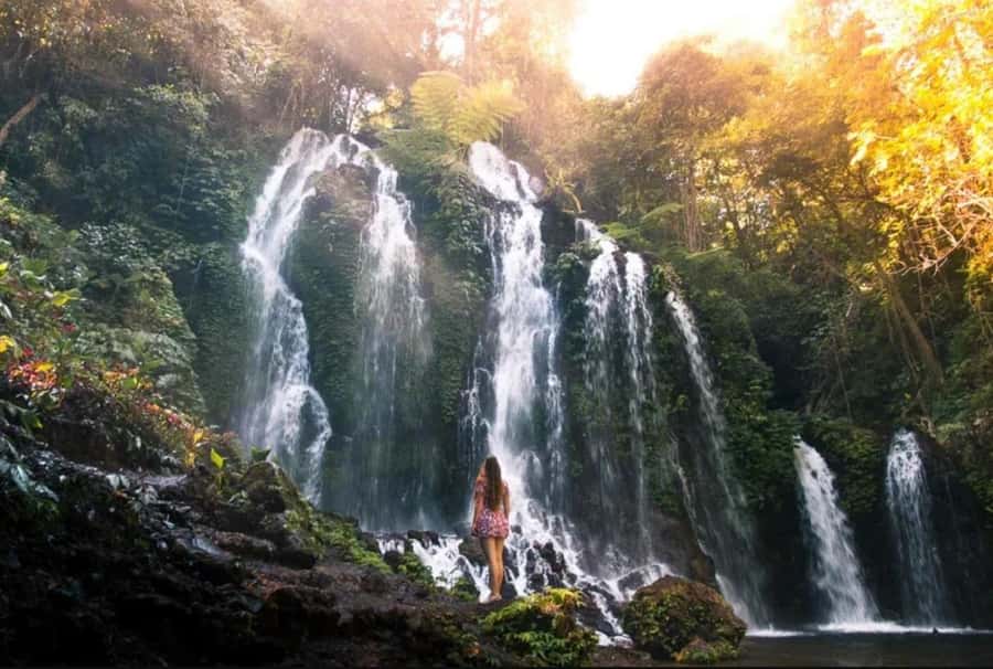 Bali: Leke Leke, Munduk, & Banyumala Waterfalls Private Tour - Leke Leke’s bamboo forest approach