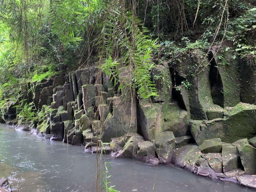 Bali: Lempuyang Temple, Tirta Gangga, and Temesi Waterfall … - Coffee plantation and local tastings