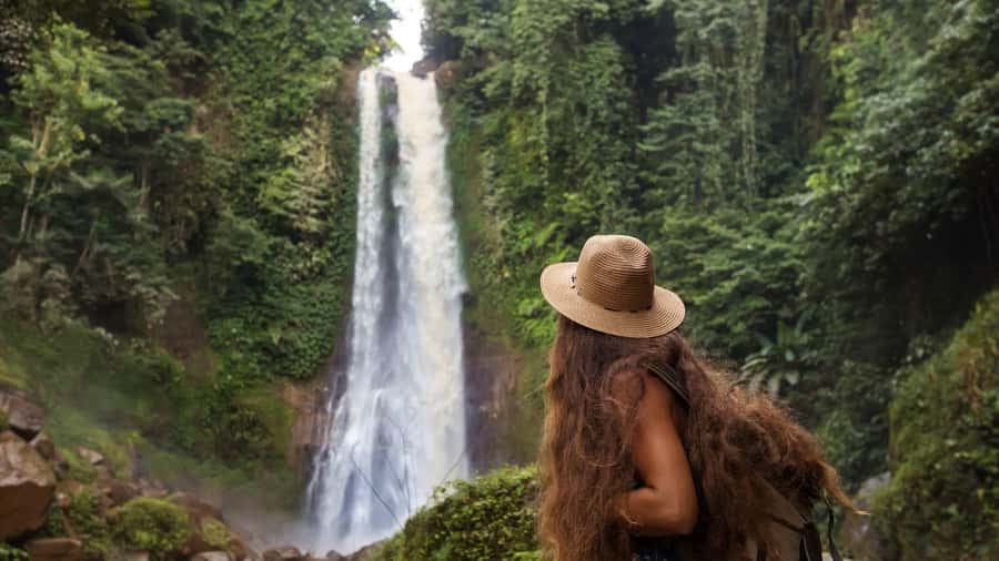 Bali/Lovina: Dolphin Snorkeling, Swimming & Waterfall Tour - Key points to know before booking
