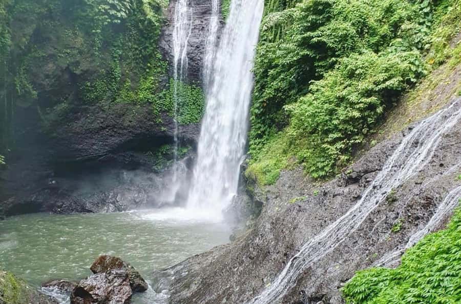Bali/Lovina: Dolphin Snorkeling, Swimming & Waterfall Tour - Should you book this dolphin and waterfall tour?