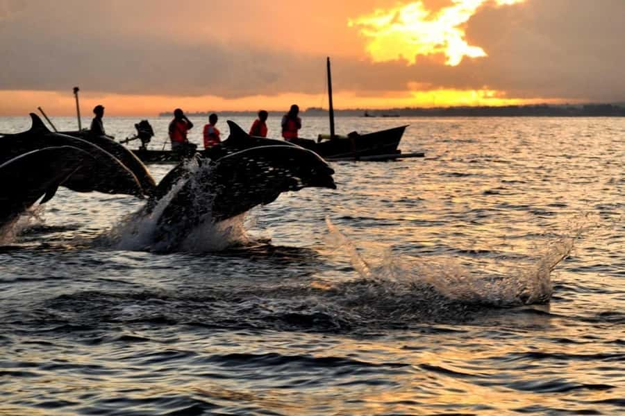 Bali/Lovina: Dolphin Snorkeling, Swimming & Waterfall Tour - Lovina before sunrise: the real beginning of the tour