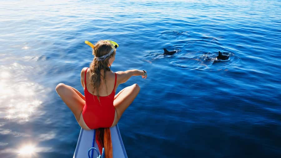 Bali/Lovina: Dolphin Snorkeling, Swimming & Waterfall Tour - The wooden plank experience, with an important catch