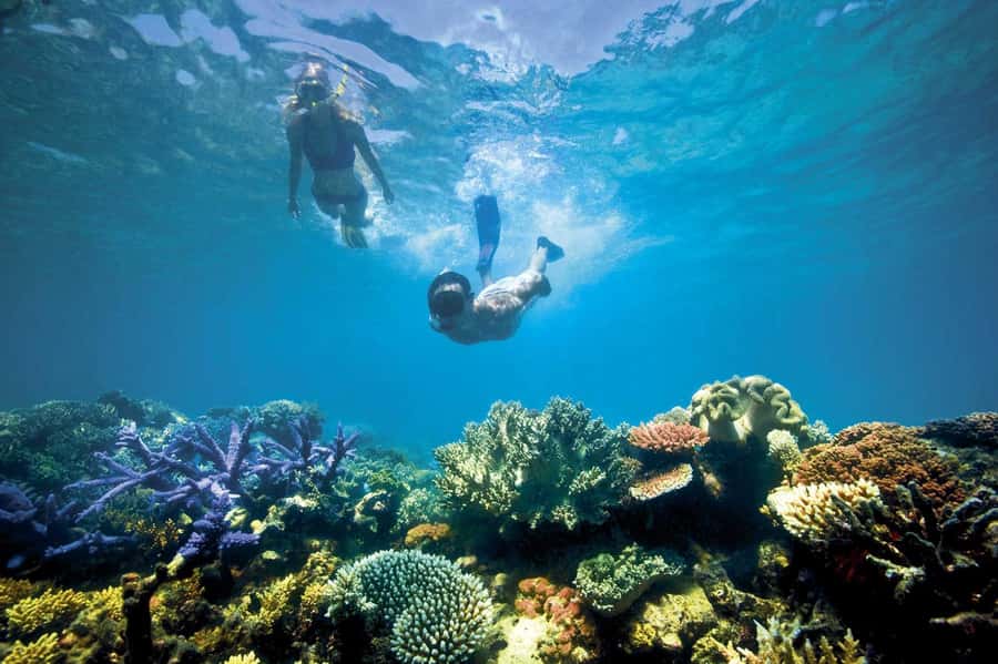 Bali/Lovina: Dolphin Snorkeling, Swimming & Waterfall Tour - Choosing the waterfall and north Bali add-ons