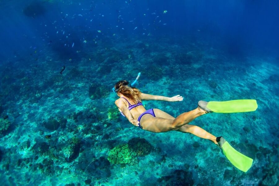 Bali/Lovina: Dolphin Snorkeling, Swimming & Waterfall Tour - What the $19 price really covers
