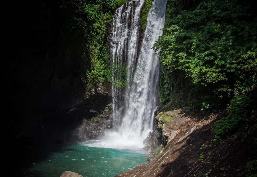 Bali/Lovina: Dolphin Snorkeling, Swimming & Waterfall Tour - Who should book this Lovina morning