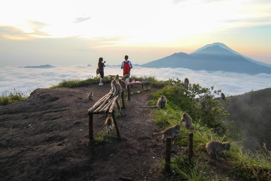 Bali: Mount Batur Sunrise Hike and Hidden Waterfall - The occasional coffee plantation stop