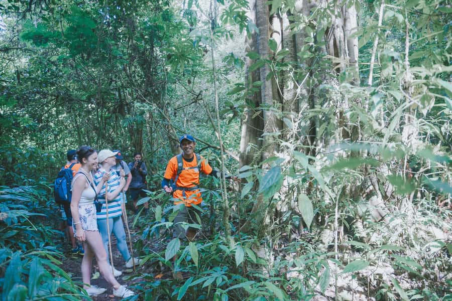 Bali: Munduk Waterfalls Trek, Twin Lakes and Temple Tour - Who should book this Munduk tour?