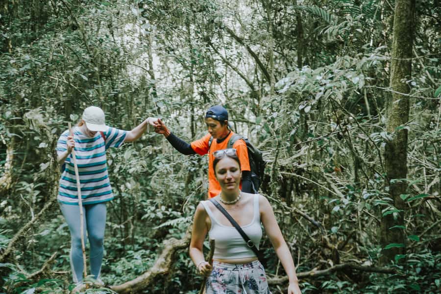 Bali: Munduk Waterfalls Trek, Twin Lakes and Temple Tour - Twin Lakes viewpoint and the first forest walk