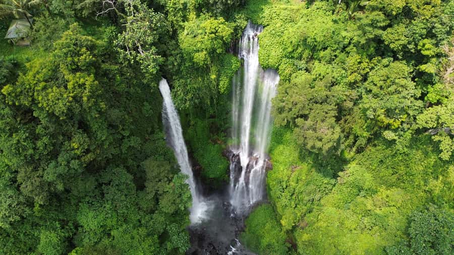 Bali Northern Trip : Majestic Waterfall Tour - Key points to know before booking