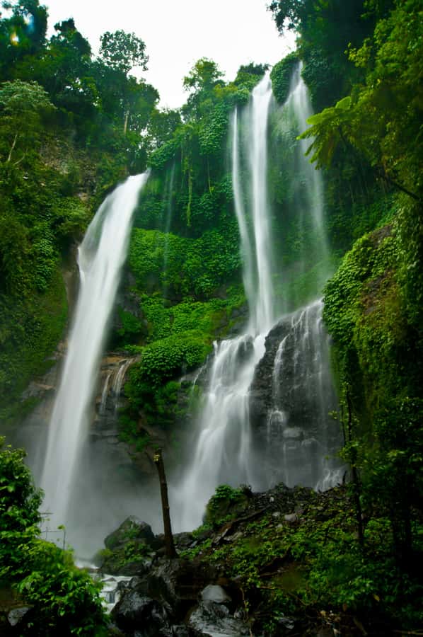 Bali Northern Trip : Majestic Waterfall Tour - Why northern Bali is worth the long drive