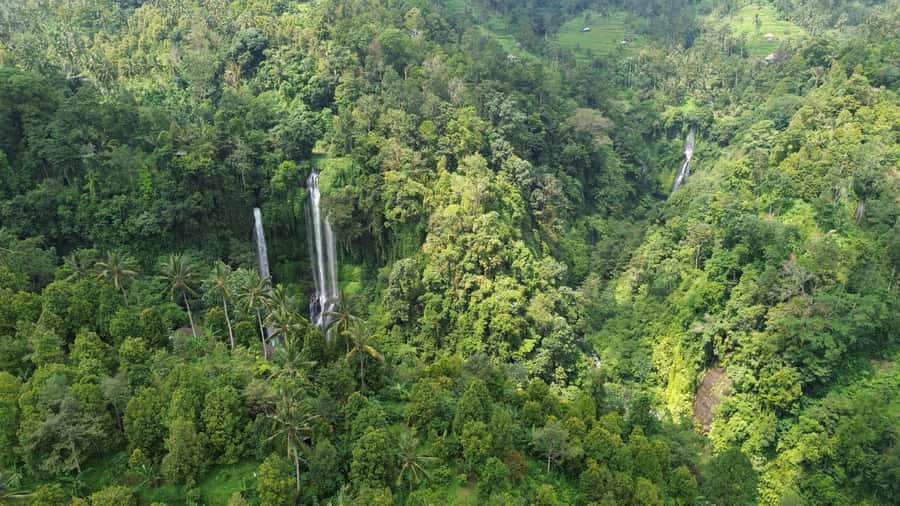 Bali Northern Trip : Majestic Waterfall Tour - Who will enjoy this tour most