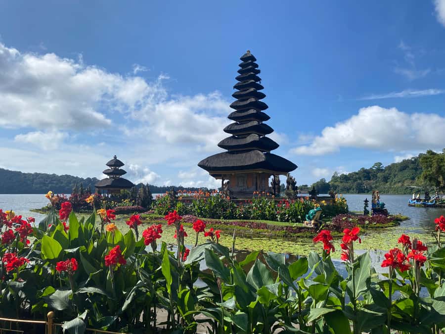Bali Northern Trip : Majestic Waterfall Tour - Should you book Bali’s Northern Waterfall Tour?