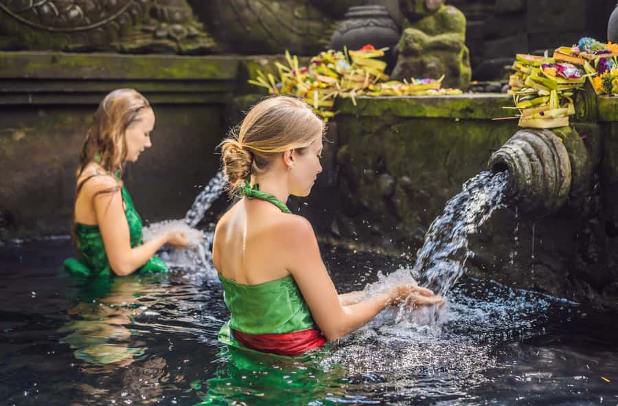 Bali: Penglipuran Village, Rice Terrace & Waterfall Tour - Key points to know before booking