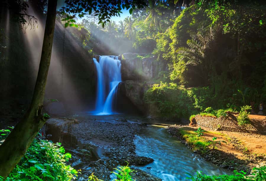 Bali: Penglipuran Village, Rice Terrace & Waterfall Tour - Why Penglipuran Village is the right place to begin