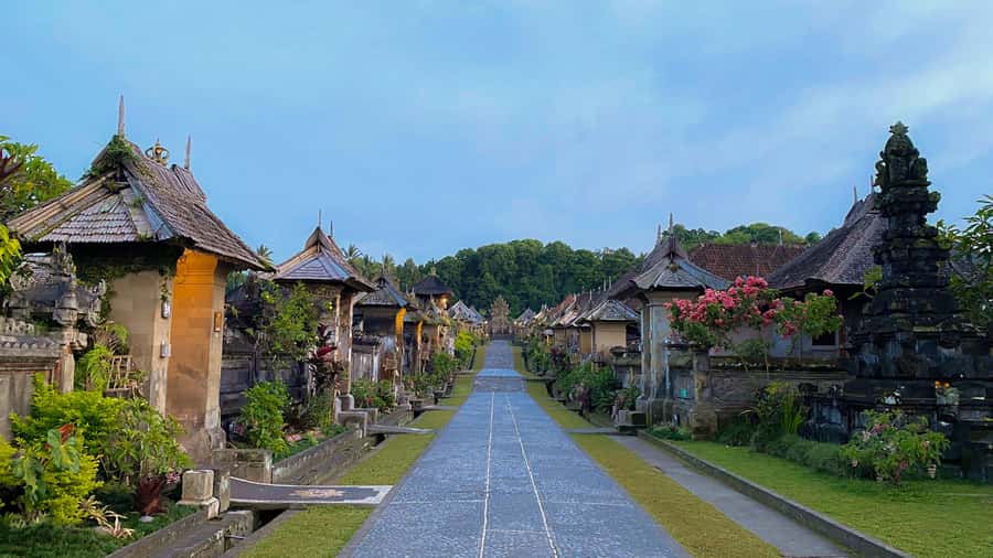 Bali: Penglipuran Village, Rice Terrace & Waterfall Tour - The guides are a major part of the experience