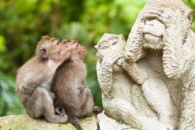 Bali Quad Bike Through Gorilla Cave - Monkey Forest and Waterfall - Two hours of mud, tunnels, and Gorilla Cave