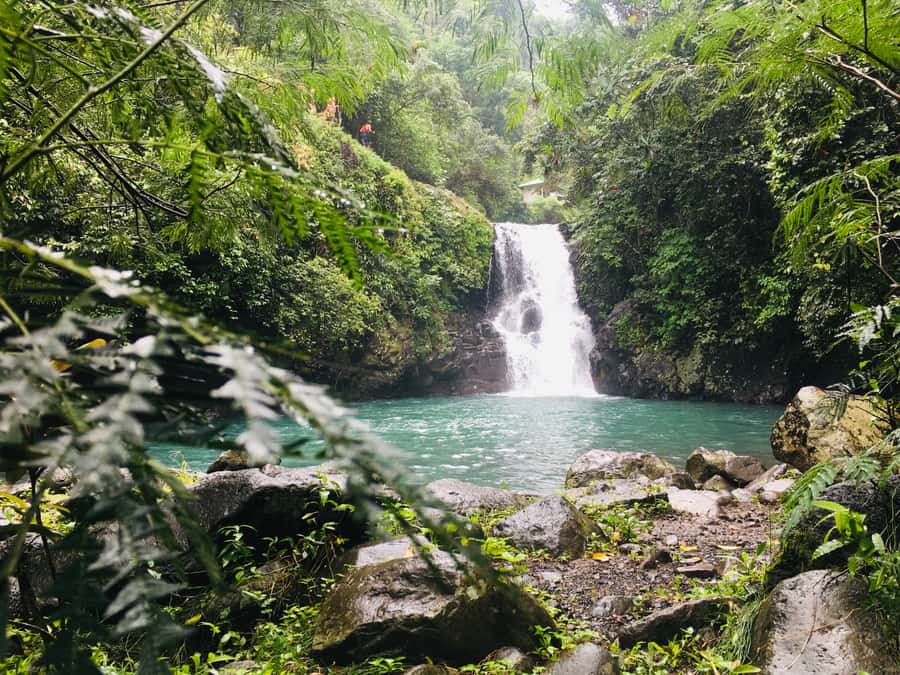 Bali: Sambangan Waterfalls Trekking, Sliding, & Jumping Trip - Meals, showers, and the practical side of the day