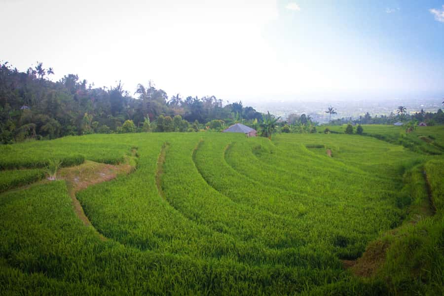 Bali: Sambangan Waterfalls Trekking, Sliding, & Jumping Trip - Swimming at the Blue Lagoon and Secret Garden