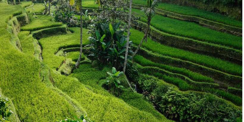Bali: Secret Garden, Ulun Danu Temple and Waterfall Tour - Walking through the Secret Garden