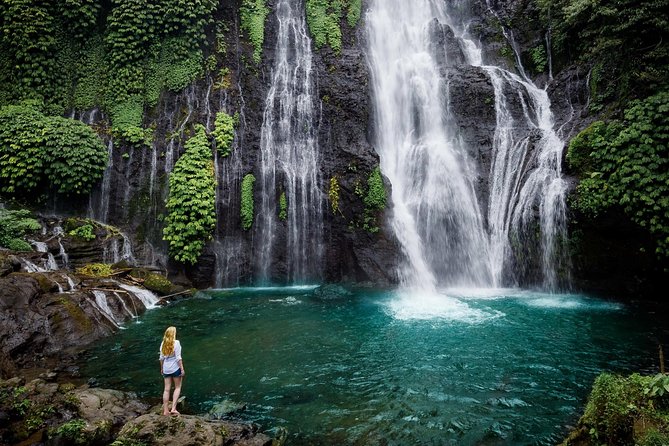 Bali Secret Waterfall Tour - Private and All-Inclusive - What your private guide adds