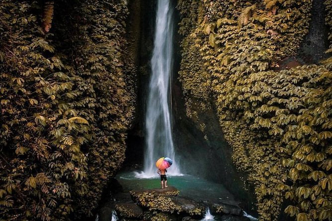 Bali Secret Waterfall Tour - Private and All-Inclusive - The $109 price: where the value sits