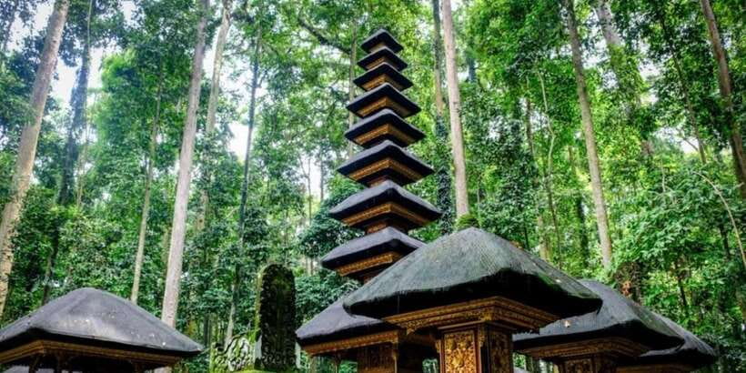 Bali Secret Waterfalls with Ulun Danu Beratan Temple Tour - Who should book this experience?