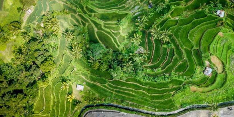 Bali Secret Waterfalls with Ulun Danu Beratan Temple Tour - Is $35 good value?
