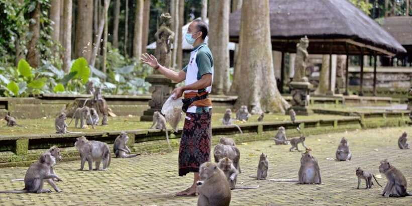 Bali Secret Waterfalls with Ulun Danu Beratan Temple Tour - Sangeh Monkey Forest and its macaques