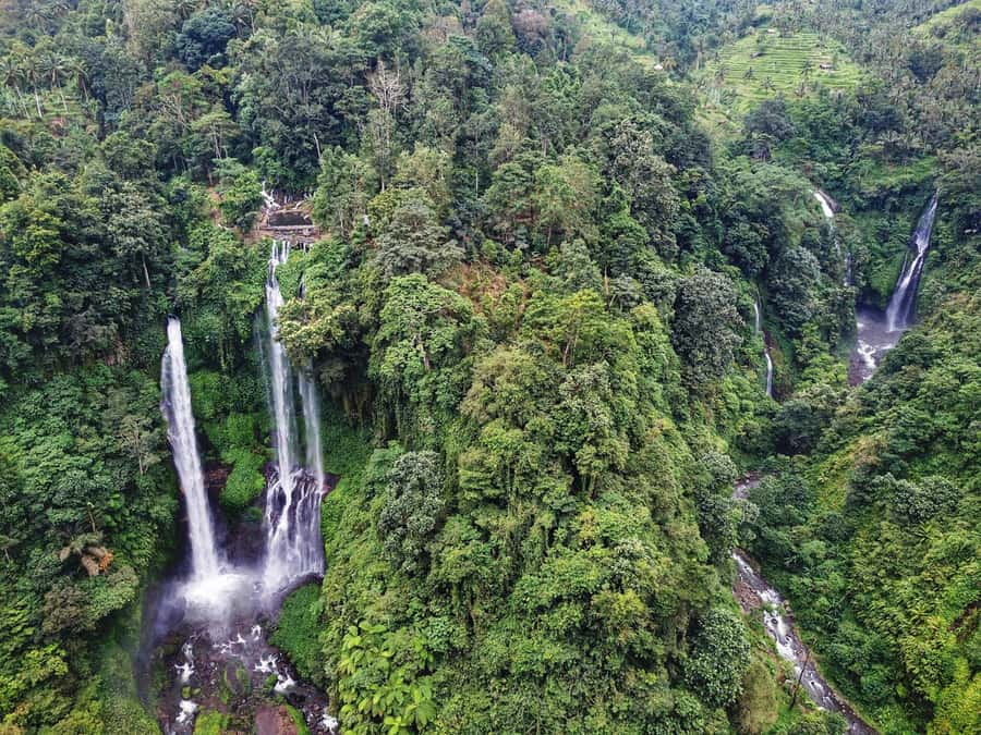 Bali: Sekumpul and Banyumala Waterfall Guided Trek - Why these two waterfalls make a strong day trip