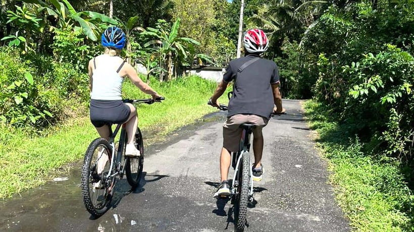 Bali: Sidemen Valley Cycling Tour with Gembleng Waterfall - Rice terraces, farms, and village lanes