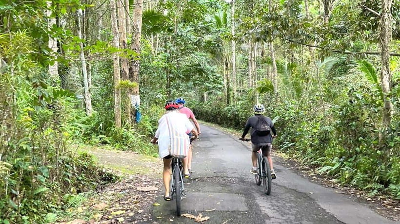 Bali: Sidemen Valley Cycling Tour with Gembleng Waterfall - Coffee at a local warung
