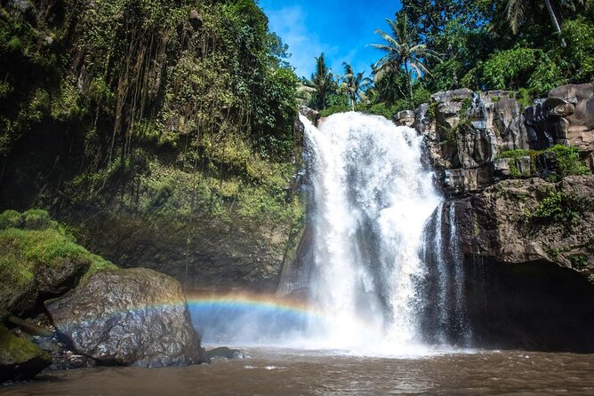 Bali Swing Hot Spring And Waterfall Private Guided Tour - One day from Ubud’s monkeys to Batur’s hot springs