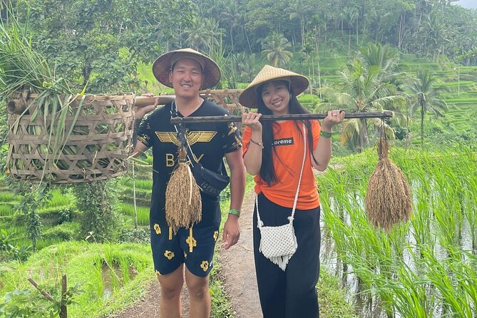 Bali Swing Hot Spring And Waterfall Private Guided Tour - A possible Goa Gajah pass and Tegenungan Waterfall