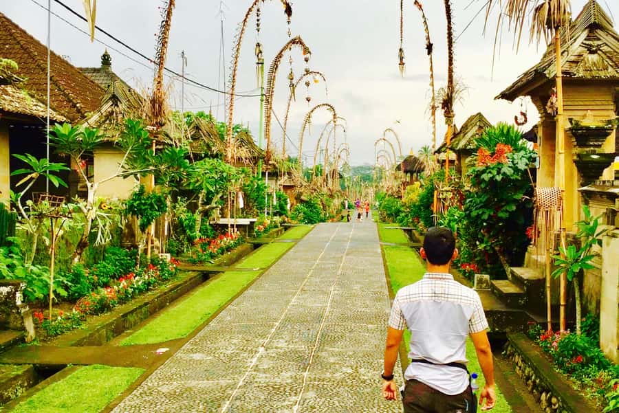 Bali: Swing with Falls, Rice Terrace, & Monkey Forest Option - Who should book this experience